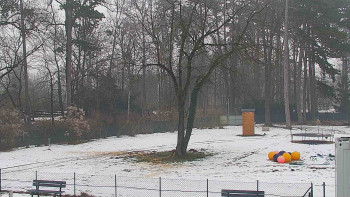 Koupaliště Bystřice pod...