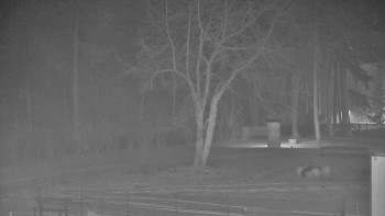 Koupaliště Bystřice pod...