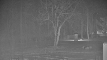 Koupaliště Bystřice pod...