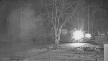 Koupaliště Bystřice pod...