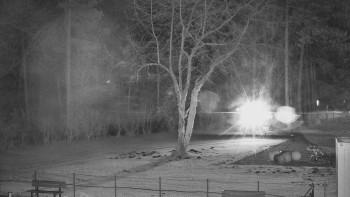 Koupaliště Bystřice pod...