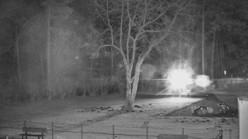 Koupaliště Bystřice pod...