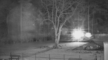 Koupaliště Bystřice pod...