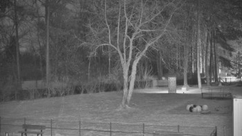 Koupaliště Bystřice pod...