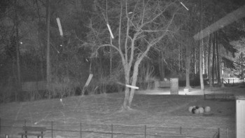 Koupaliště Bystřice pod...