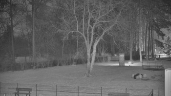 Koupaliště Bystřice pod...