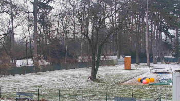 Koupaliště Bystřice pod...