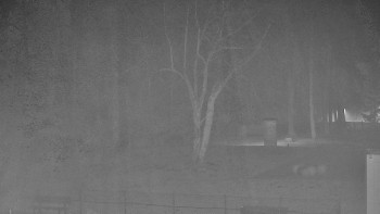 Koupaliště Bystřice pod...