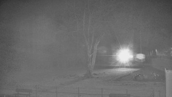 Koupaliště Bystřice pod...