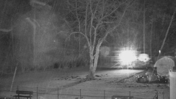 Koupaliště Bystřice pod...