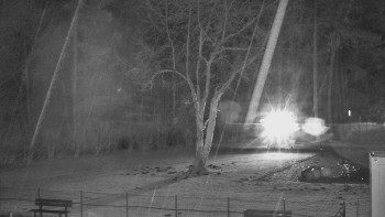 Koupaliště Bystřice pod...