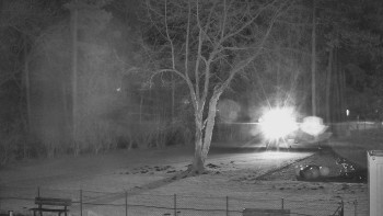 Koupaliště Bystřice pod...