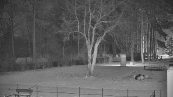 Koupaliště Bystřice pod...