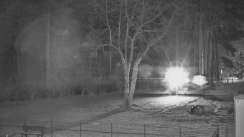 Koupaliště Bystřice pod...