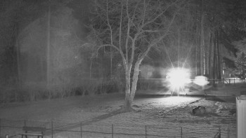 Koupaliště Bystřice pod...