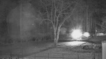 Koupaliště Bystřice pod...