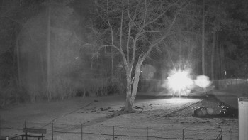 Koupaliště Bystřice pod...