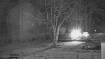 Koupaliště Bystřice pod...