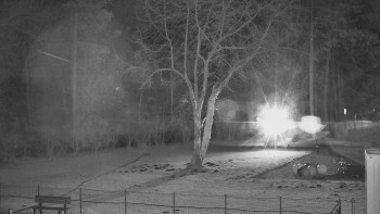 Koupaliště Bystřice pod...