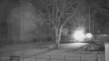 Koupaliště Bystřice pod...