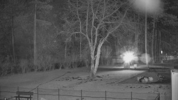 Koupaliště Bystřice pod...