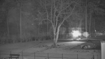 Koupaliště Bystřice pod...