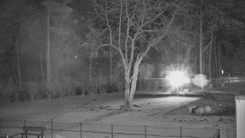 Koupaliště Bystřice pod...