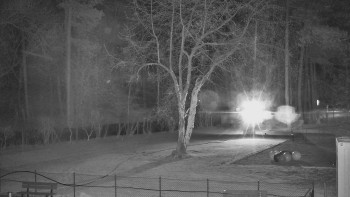 Koupaliště Bystřice pod...