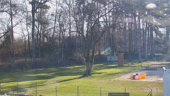 Koupaliště Bystřice pod...