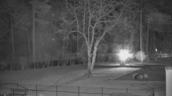 Koupaliště Bystřice pod...