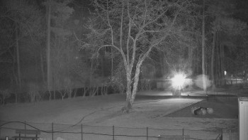 Koupaliště Bystřice pod...