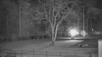 Koupaliště Bystřice pod...