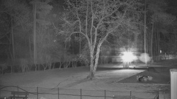 Koupaliště Bystřice pod...