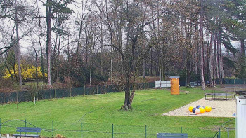 Koupaliště Bystřice pod...