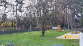 Koupaliště Bystřice pod...