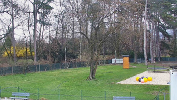 Koupaliště Bystřice pod...