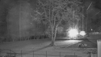 Koupaliště Bystřice pod...