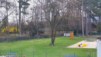 Koupaliště Bystřice pod...