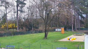 Koupaliště Bystřice pod...