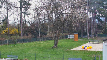 Koupaliště Bystřice pod...