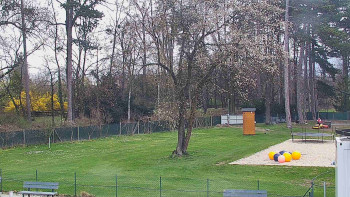 Koupaliště Bystřice pod...