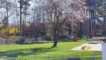 Koupaliště Bystřice pod...