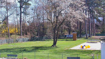 Koupaliště Bystřice pod...