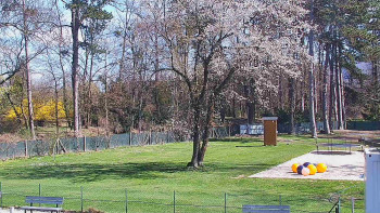 Koupaliště Bystřice pod...