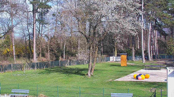 Koupaliště Bystřice pod...