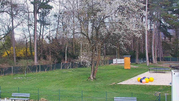 Koupaliště Bystřice pod...