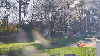 Koupaliště Bystřice pod...