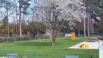 Koupaliště Bystřice pod...