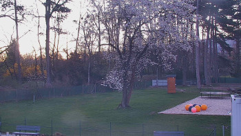 Koupaliště Bystřice pod...