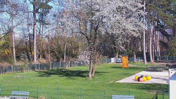 Koupaliště Bystřice pod...